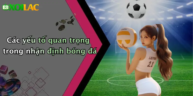 Các yếu tố quan trọng trong nhận định bóng đá