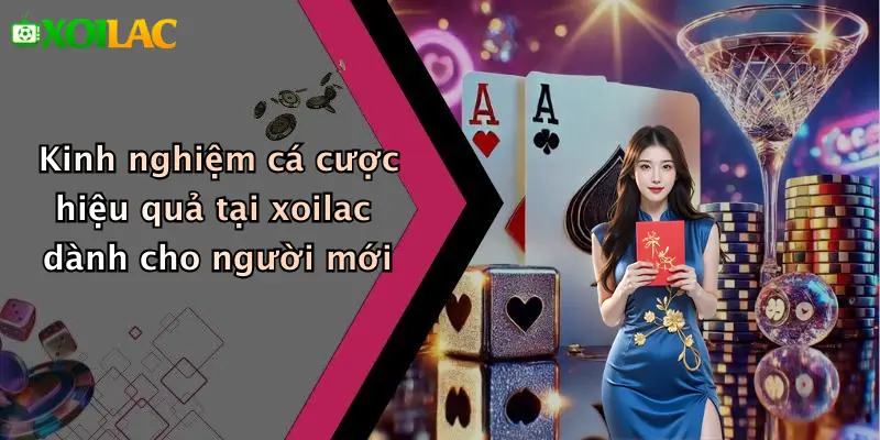 Kinh nghiệm cá cược hiệu quả tại xoilac dành cho người mới