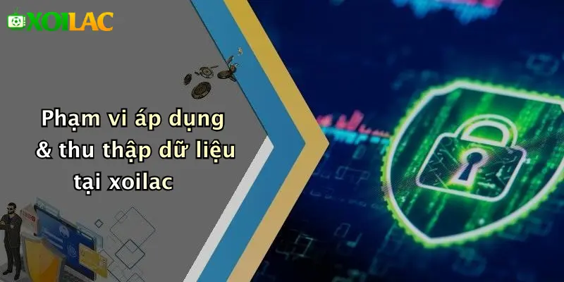 Phạm vi áp dụng & thu thập dữ liệu tại xoilac