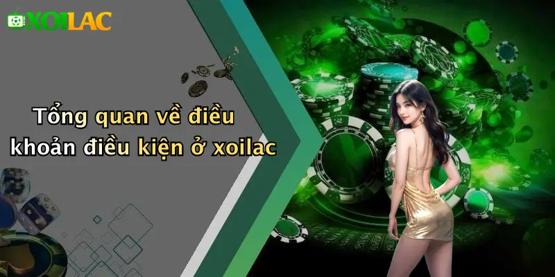 Tổng quan về điều khoản điều kiện ở xoilac