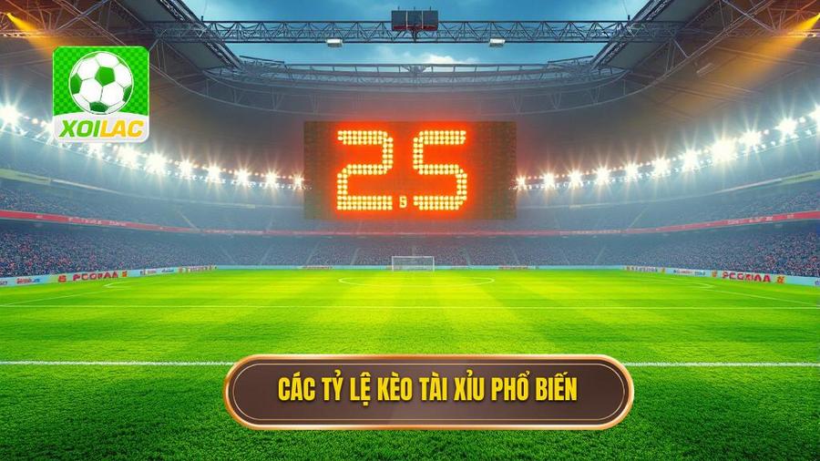 Các tỷ lệ kèo bóng đá tài xỉu phổ biến nhất hiện nay