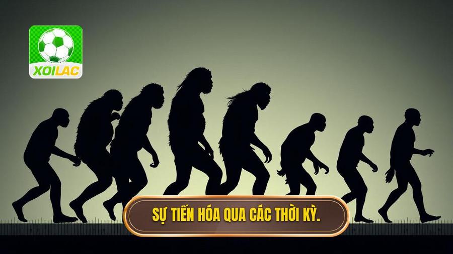 Sự tiến hóa qua từng thời kỳ