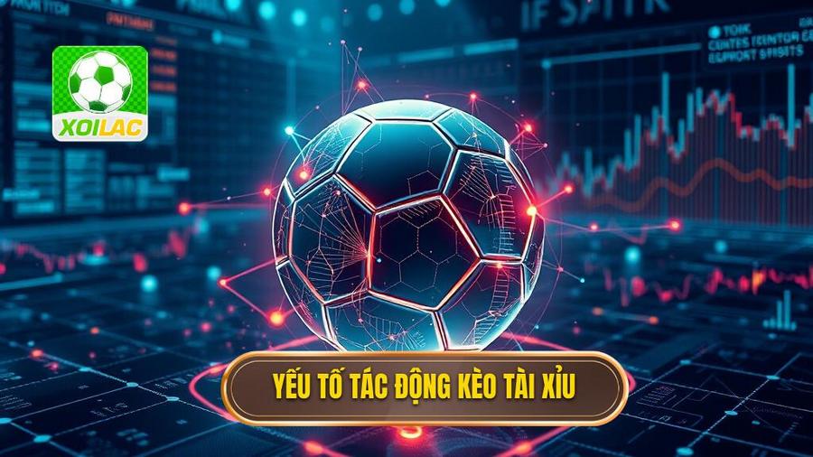 Phân tích đa chiều: Những yếu tố tác động đến kèo bóng đá tài xỉu